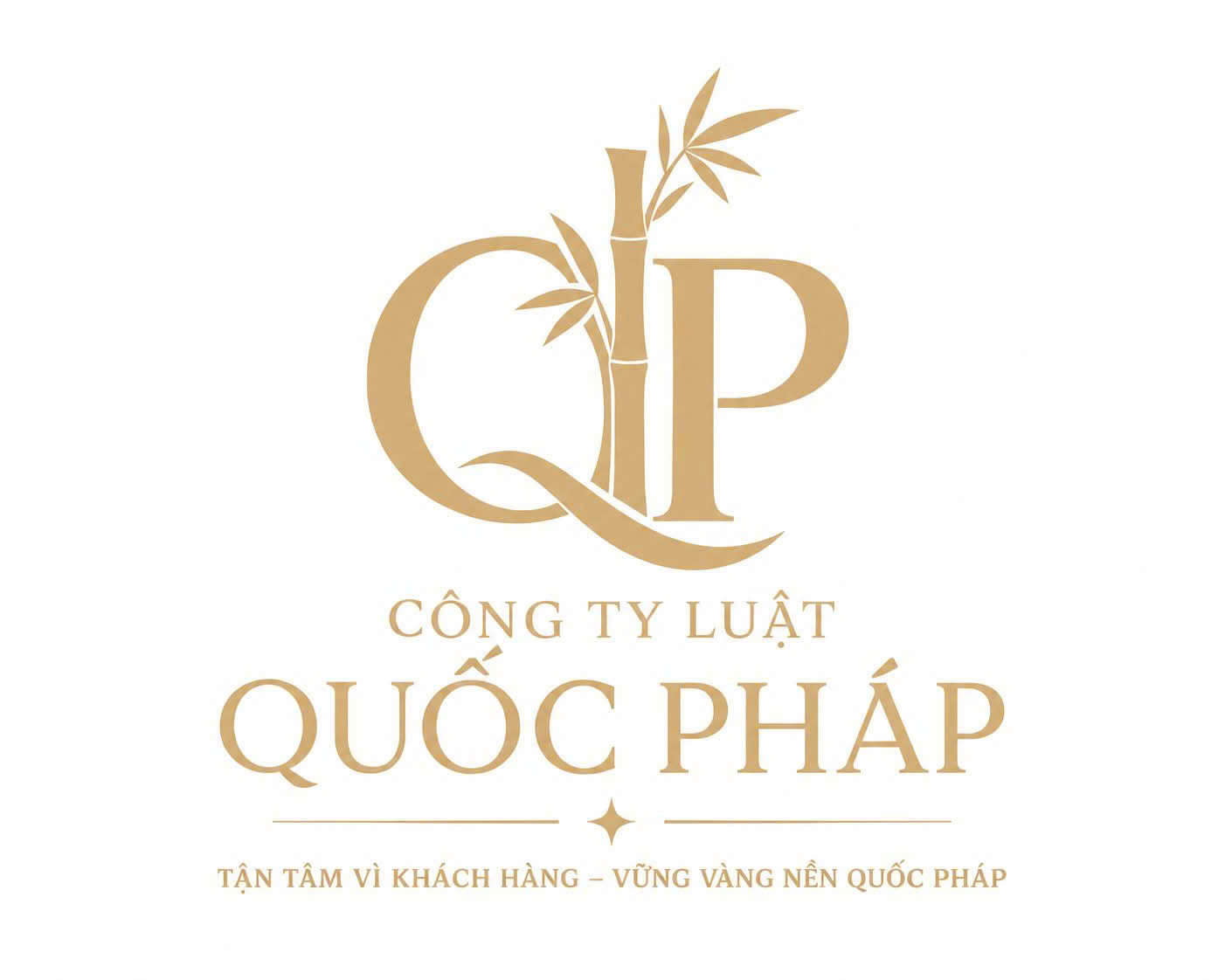 Ảnh chân dung Luật sư Nguyễn Thế Mạnh (ảnh tạm)